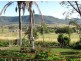 Maryvale QLD 4370