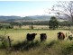 Maryvale QLD 4370
