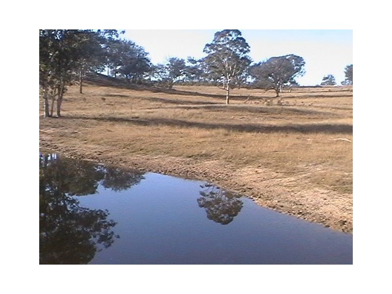 0 Old Stanthorpe Rd, Dalveen QLD 4374