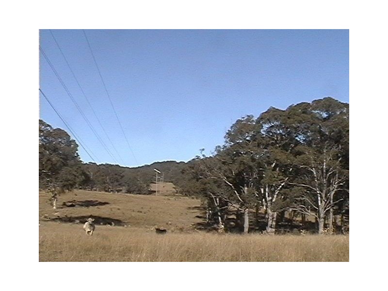 0 Old Stanthorpe Rd, Dalveen QLD 4374