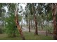 77 Hendon-Victoria Hill Rd, Deuchar QLD 4362