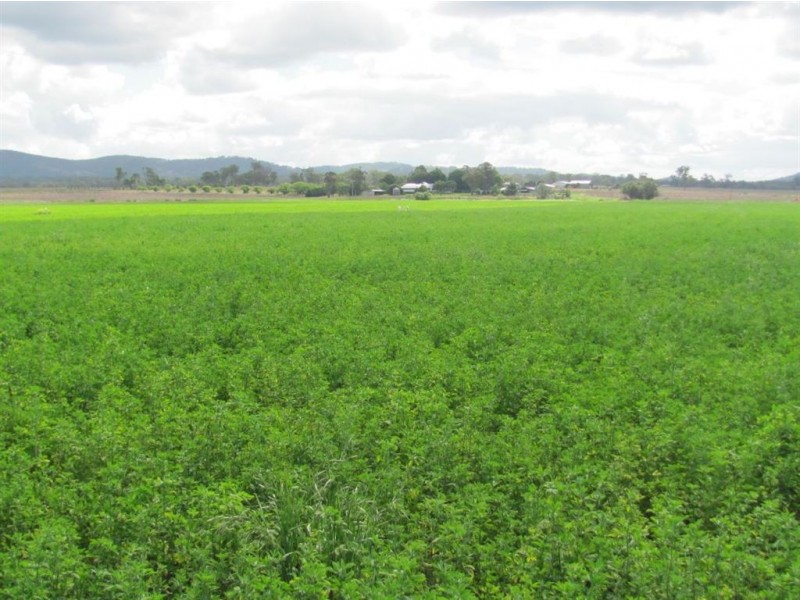 Murrays Bridge QLD 4370