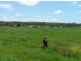 Pratten QLD 4370