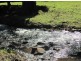 Killarney QLD 4373