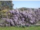 Killarney QLD 4373