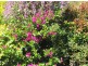 Killarney QLD 4373