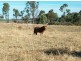 Back Plains QLD 4361