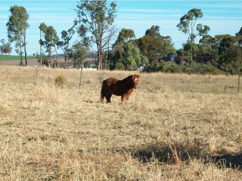 Back Plains QLD 4361
