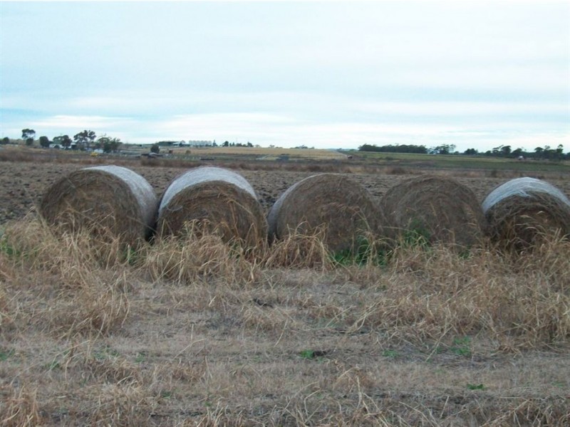 Warwick QLD 4370