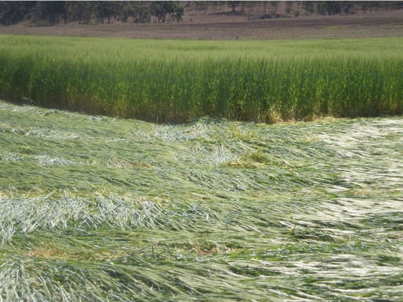 375 North Branch, Maryvale QLD 4370