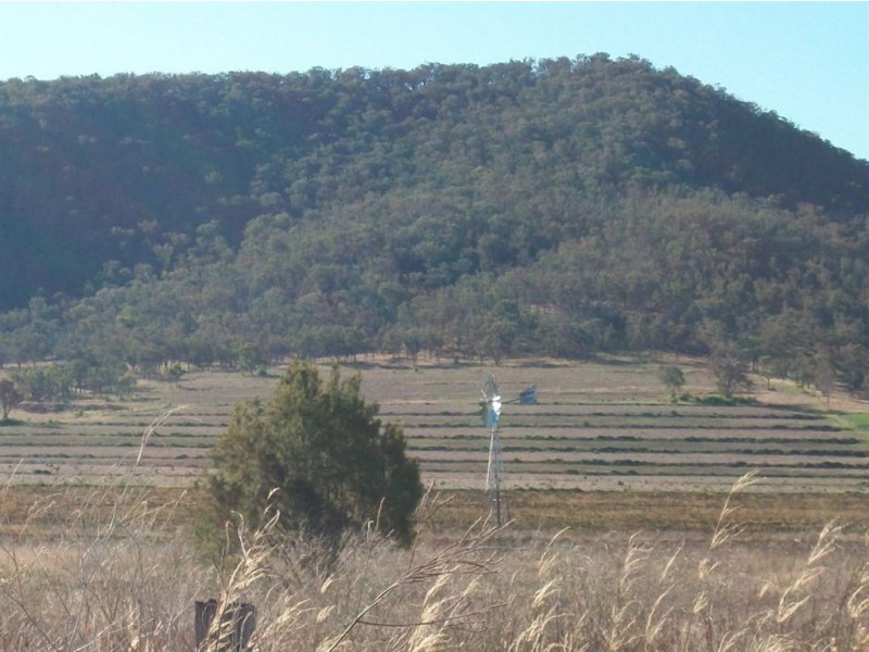 Warwick QLD 4370