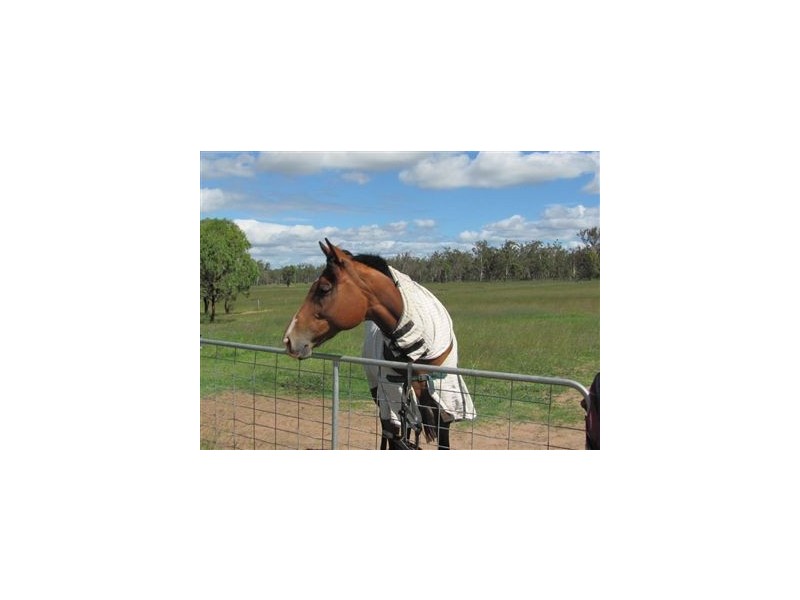 Warwick QLD 4370