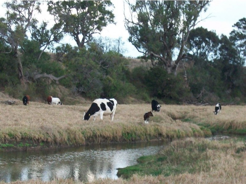 Warwick QLD 4370