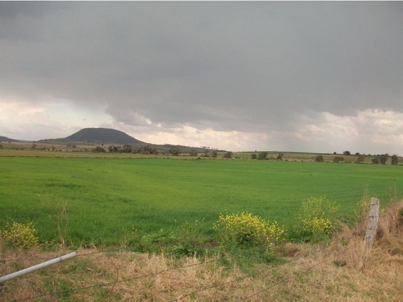 Warwick QLD 4370