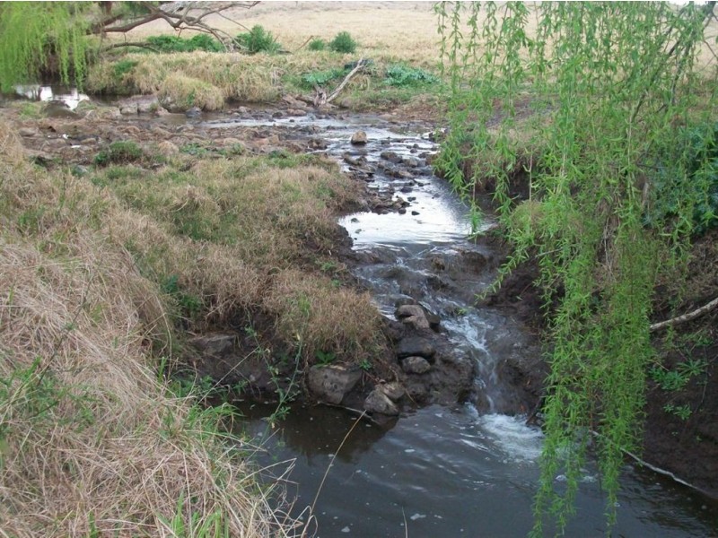 Warwick QLD 4370