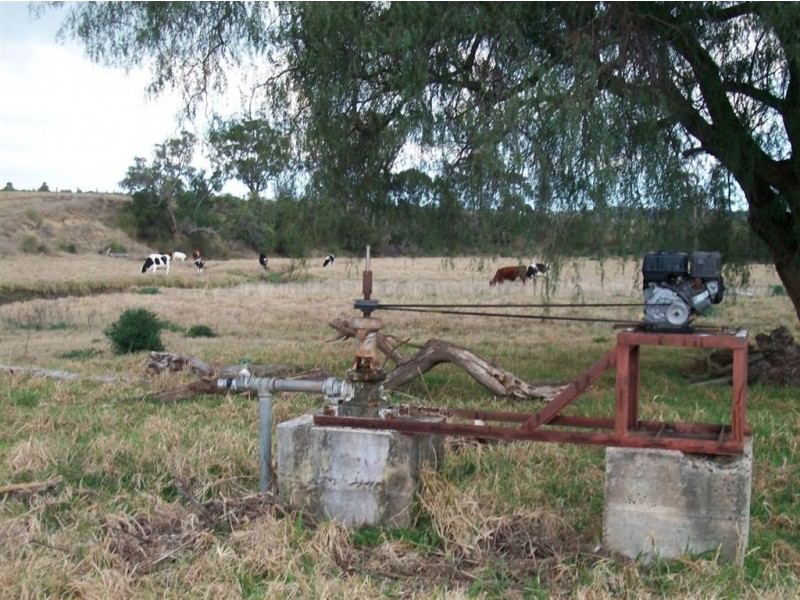 Warwick QLD 4370