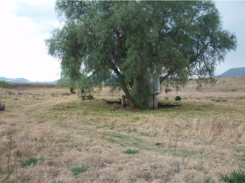 Warwick QLD 4370