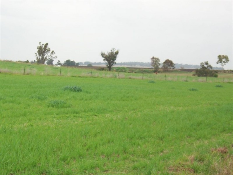 Warwick QLD 4370