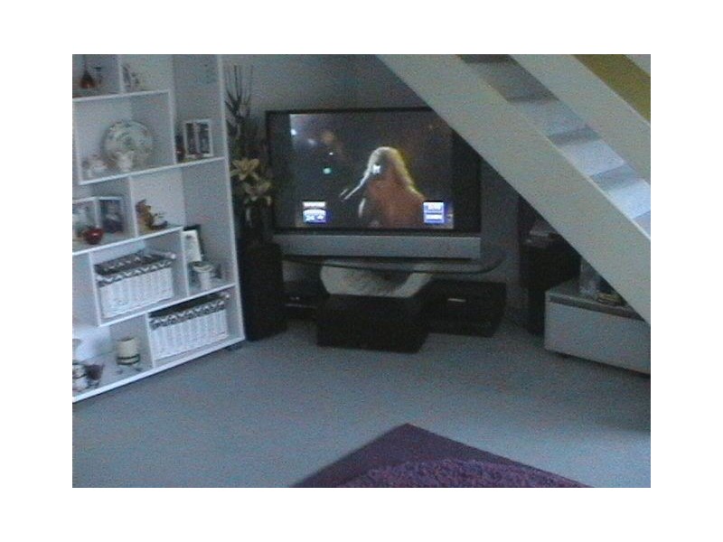 Coolangatta QLD 4225