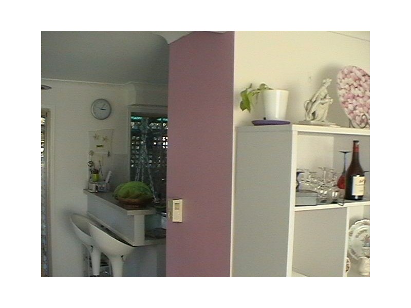 Coolangatta QLD 4225