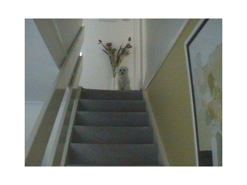 Coolangatta QLD 4225