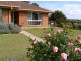 163 Lyndhurst Lane, Warwick QLD 4370