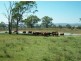 986 Upper Wheatvale rd, Warwick QLD 4370
