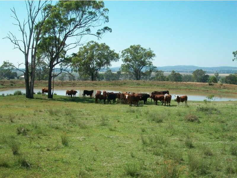 986 Upper Wheatvale rd, Warwick QLD 4370