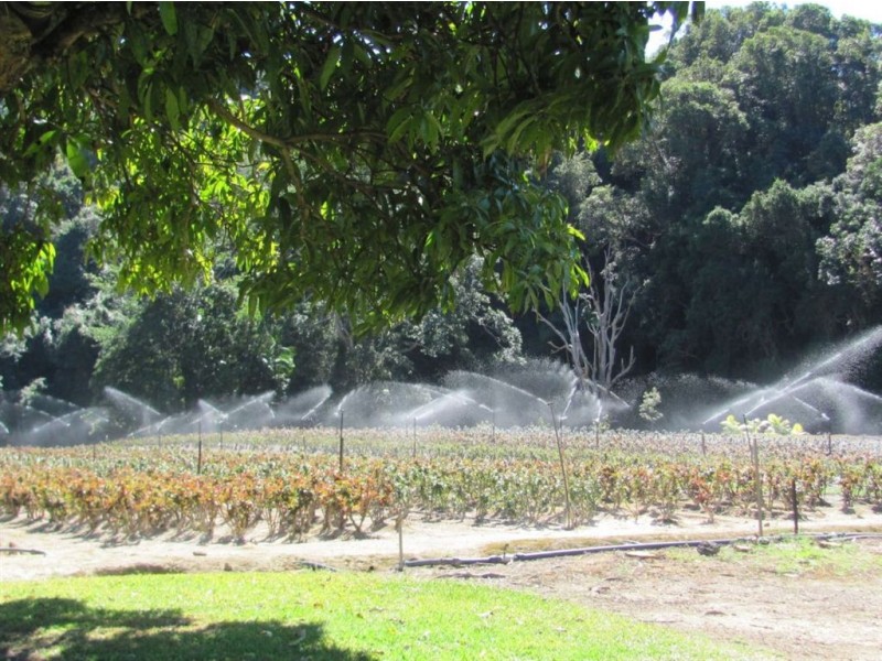 Carrara QLD 4211
