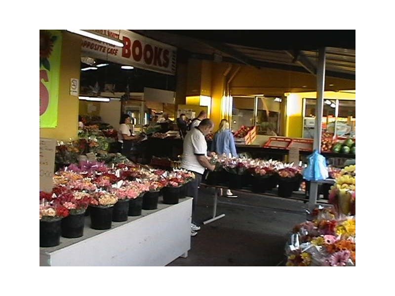 Carrara QLD 4211
