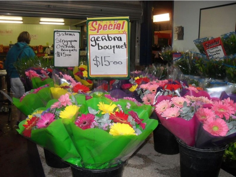 Carrara QLD 4211