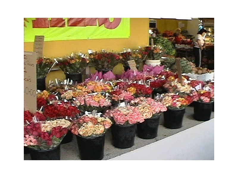 Carrara QLD 4211