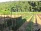 Carrara QLD 4211