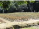 Carrara QLD 4211