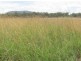 Yangan QLD 4371