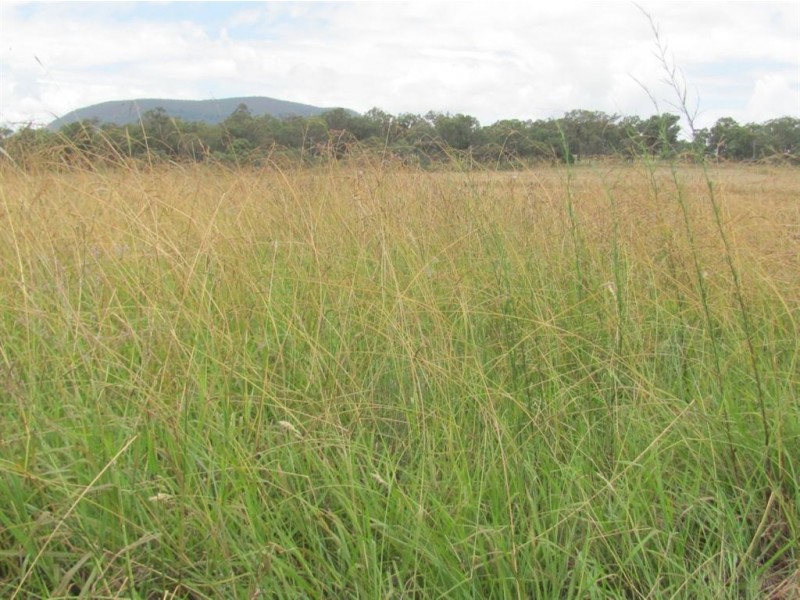 Yangan QLD 4371