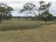 Yangan QLD 4371
