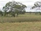 Yangan QLD 4371