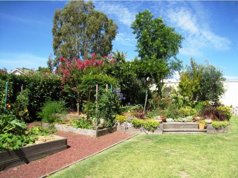 Warwick QLD 4370
