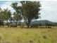 520 Hollybank rd, Inglewood QLD 4387