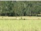 1743 Inverramsay rd, Warwick QLD 4370