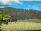 1743 Inverramsay rd, Warwick QLD 4370