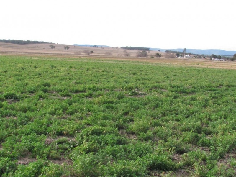 Warwick QLD 4370