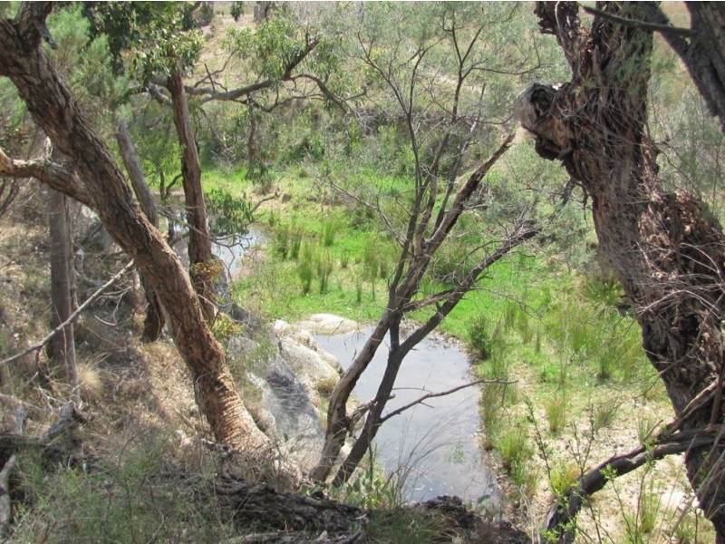 Karara QLD 4352