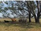 Karara QLD 4352