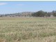 Karara QLD 4352