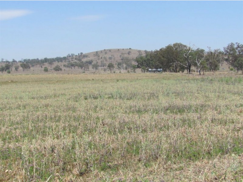Karara QLD 4352