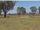 Karara QLD 4352
