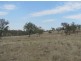 Karara QLD 4352