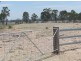 5 Back Creek Rd, Karara QLD 4352